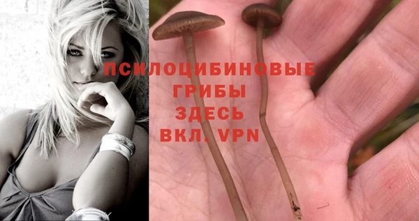 соль курить ск Алексеевка