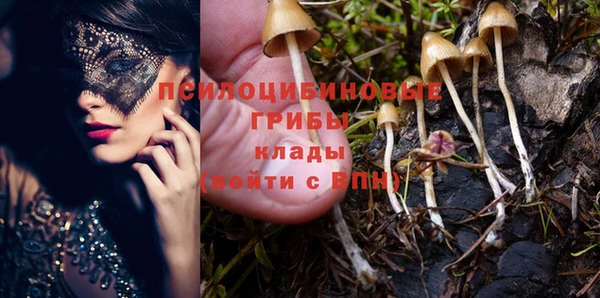 соль курить ск Алексеевка